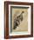 Study of a Cat (W/C on Paper)-Gwen John-Framed Giclee Print