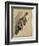 Study of a Cat (W/C on Paper)-Gwen John-Framed Giclee Print