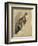 Study of a Cat (W/C on Paper)-Gwen John-Framed Giclee Print