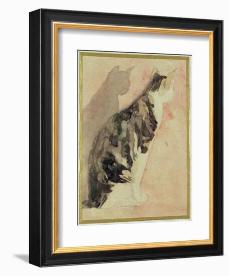 Study of a Cat (W/C on Paper)-Gwen John-Framed Giclee Print