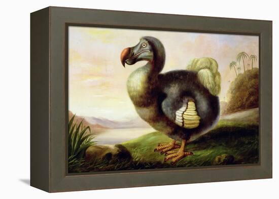 Study of a Dodo-F Hart-Framed Premier Image Canvas