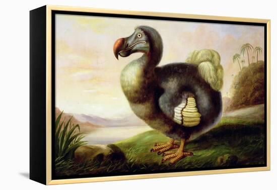 Study of a Dodo-F Hart-Framed Premier Image Canvas