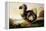 Study of a Dodo-F Hart-Framed Premier Image Canvas