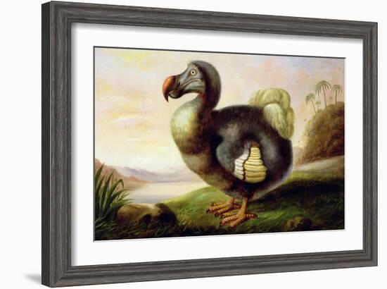 Study of a Dodo-F Hart-Framed Giclee Print