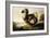 Study of a Dodo-F Hart-Framed Giclee Print