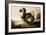 Study of a Dodo-F Hart-Framed Giclee Print