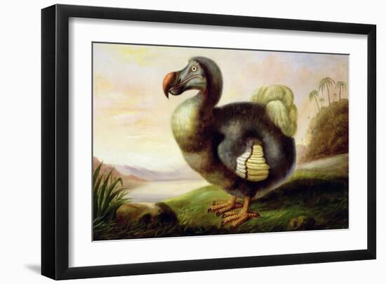 Study of a Dodo-F Hart-Framed Giclee Print