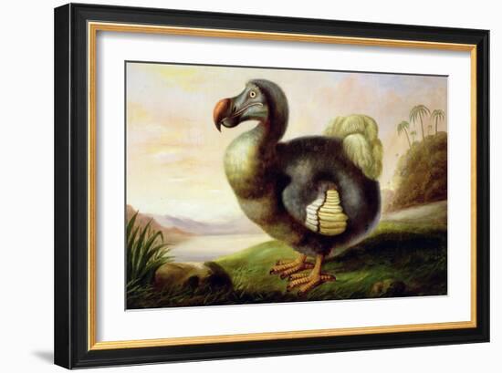 Study of a Dodo-F Hart-Framed Giclee Print