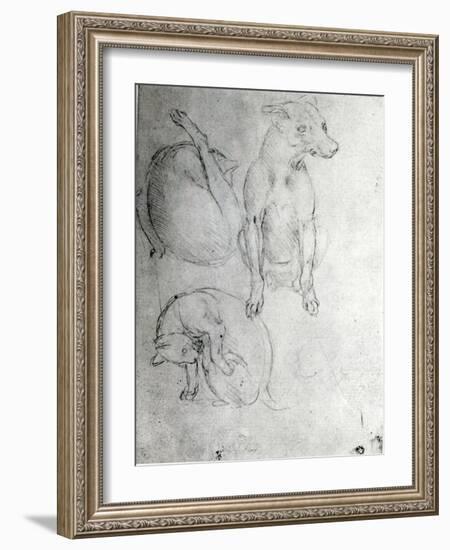 Study of a Dog and a Cat, c.1480-Leonardo da Vinci-Framed Giclee Print