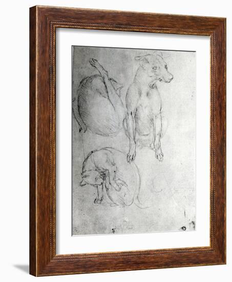 Study of a Dog and a Cat, c.1480-Leonardo da Vinci-Framed Giclee Print