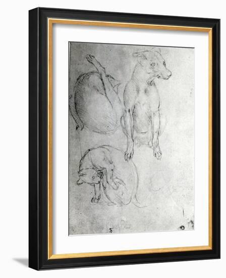 Study of a Dog and a Cat, c.1480-Leonardo da Vinci-Framed Giclee Print