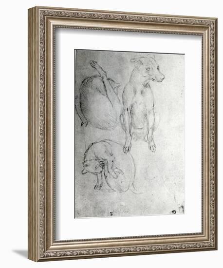 Study of a Dog and a Cat, c.1480-Leonardo da Vinci-Framed Giclee Print