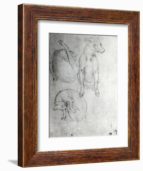 Study of a Dog and a Cat, c.1480-Leonardo da Vinci-Framed Giclee Print