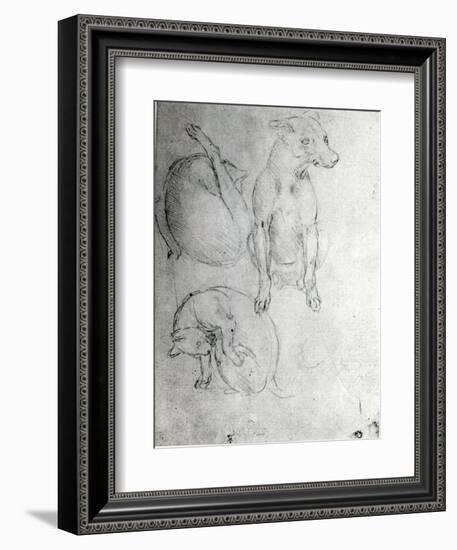 Study of a Dog and a Cat, c.1480-Leonardo da Vinci-Framed Giclee Print