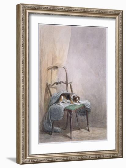 Study of a Dog on a Chair-William Henry Hunt-Framed Giclee Print