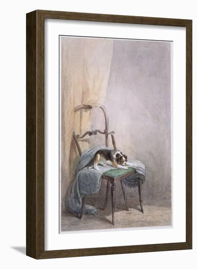 Study of a Dog on a Chair-William Henry Hunt-Framed Giclee Print