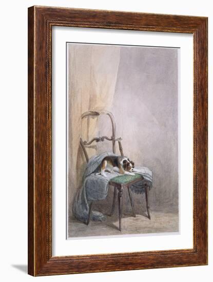 Study of a Dog on a Chair-William Henry Hunt-Framed Giclee Print