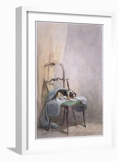 Study of a Dog on a Chair-William Henry Hunt-Framed Giclee Print