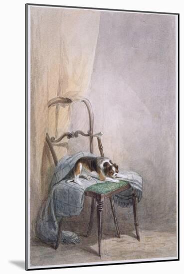 Study of a Dog on a Chair-William Henry Hunt-Mounted Giclee Print