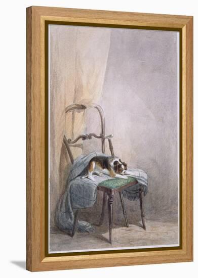 Study of a Dog on a Chair-William Henry Hunt-Framed Premier Image Canvas