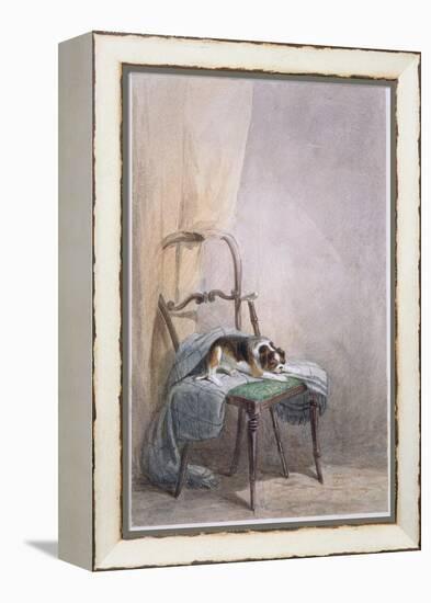 Study of a Dog on a Chair-William Henry Hunt-Framed Premier Image Canvas