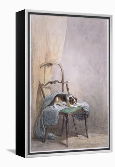 Study of a Dog on a Chair-William Henry Hunt-Framed Premier Image Canvas