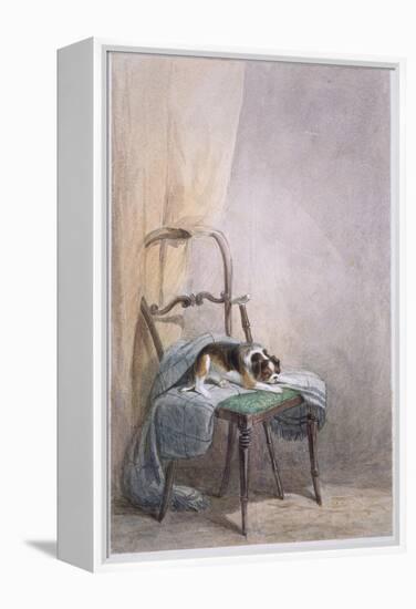 Study of a Dog on a Chair-William Henry Hunt-Framed Premier Image Canvas