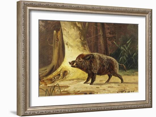 Study of a Fierce Boar in the Forest-Theodore Kiellerup-Framed Giclee Print