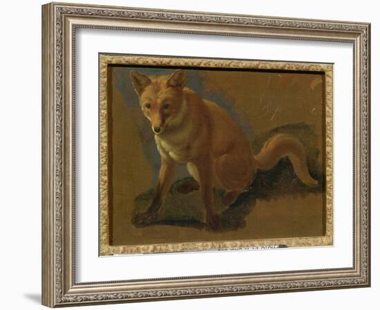 Study of a Fox (Oil on Panel)-Jacques-Laurent Agasse-Framed Giclee Print