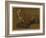 Study of a Fox (Oil on Panel)-Jacques-Laurent Agasse-Framed Giclee Print