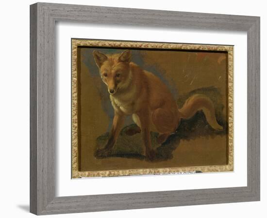 Study of a Fox (Oil on Panel)-Jacques-Laurent Agasse-Framed Giclee Print