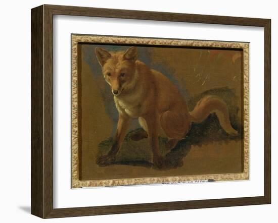 Study of a Fox (Oil on Panel)-Jacques-Laurent Agasse-Framed Giclee Print