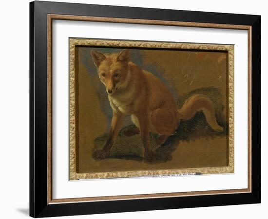 Study of a Fox (Oil on Panel)-Jacques-Laurent Agasse-Framed Giclee Print