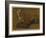 Study of a Fox (Oil on Panel)-Jacques-Laurent Agasse-Framed Giclee Print