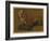 Study of a Fox (Oil on Panel)-Jacques-Laurent Agasse-Framed Giclee Print