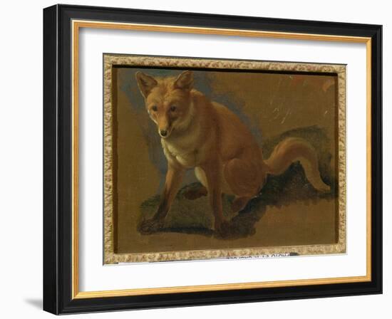 Study of a Fox (Oil on Panel)-Jacques-Laurent Agasse-Framed Giclee Print