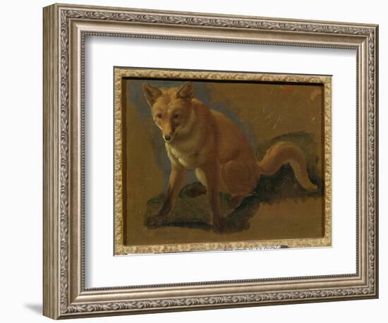 Study of a Fox (Oil on Panel)-Jacques-Laurent Agasse-Framed Giclee Print