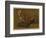 Study of a Fox (Oil on Panel)-Jacques-Laurent Agasse-Framed Giclee Print