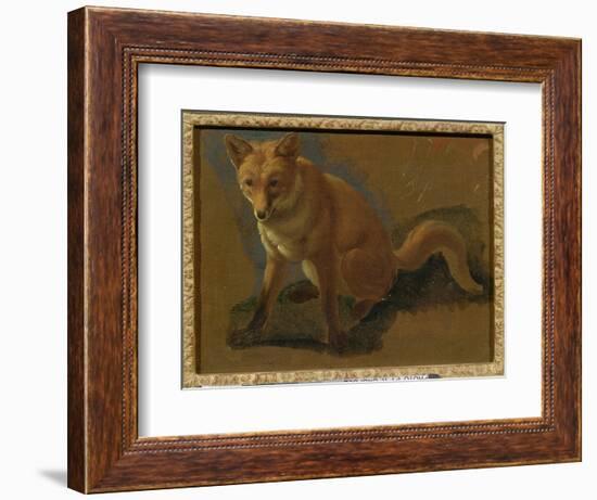 Study of a Fox (Oil on Panel)-Jacques-Laurent Agasse-Framed Giclee Print