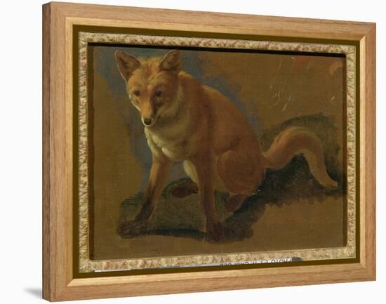 Study of a Fox (Oil on Panel)-Jacques-Laurent Agasse-Framed Premier Image Canvas