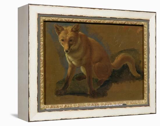 Study of a Fox (Oil on Panel)-Jacques-Laurent Agasse-Framed Premier Image Canvas