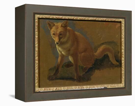 Study of a Fox (Oil on Panel)-Jacques-Laurent Agasse-Framed Premier Image Canvas