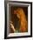 Study of a Girl's Head, 1880-86 (Oil on Canvas)-Arthur Hughes-Framed Giclee Print