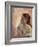 Study of a Girl's Head, Late 1870s-Edgar Degas-Framed Giclee Print