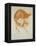 Study of a Girl's Head (Red Chalk on Paper)-John William Waterhouse-Framed Premier Image Canvas