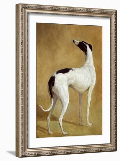 Study of a Greyhound-Jacques-Laurent Agasse-Framed Giclee Print