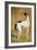 Study of a Greyhound-Jacques-Laurent Agasse-Framed Giclee Print