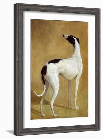 Study of a Greyhound-Jacques-Laurent Agasse-Framed Giclee Print