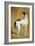 Study of a Greyhound-Jacques-Laurent Agasse-Framed Giclee Print