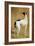 Study of a Greyhound-Jacques-Laurent Agasse-Framed Giclee Print